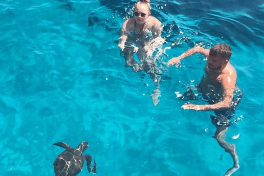 Two swimmers watching a sea turtle from a respectful distance in the clear blue water