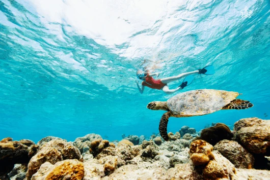 Snorkeller swimming alongside a sea turtle over a rocky seabed in Cyprus