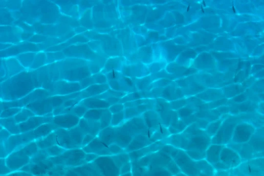 Clear turquoise water with sunlight patterns rippling over the seabed and small fish swimming near the surface